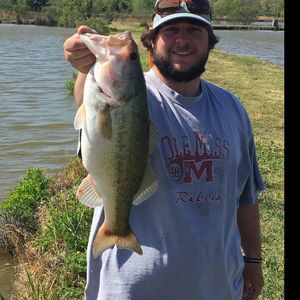 Meet your Posher, Cody